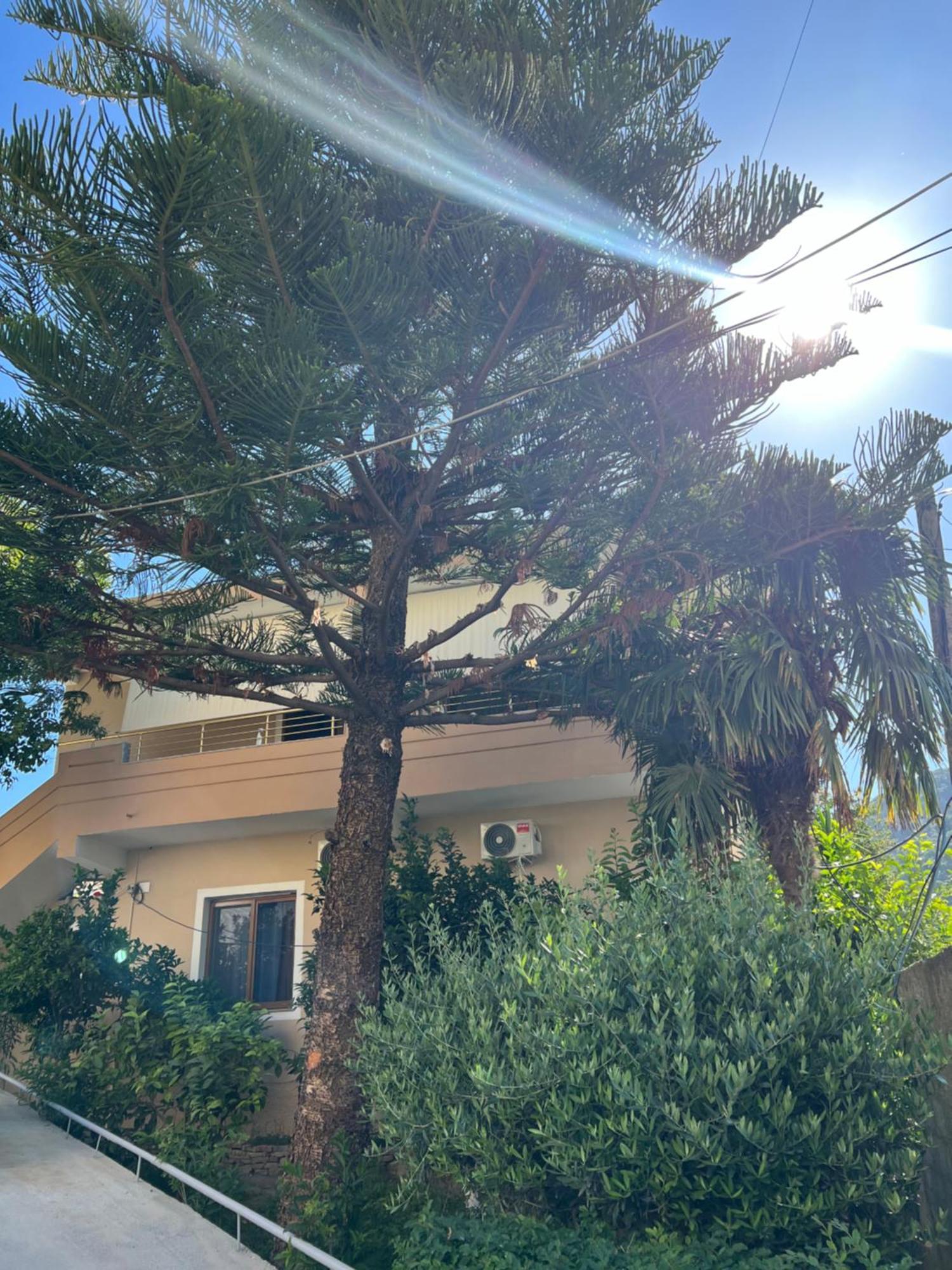 Villa Green Vlorë Exteriör bild
