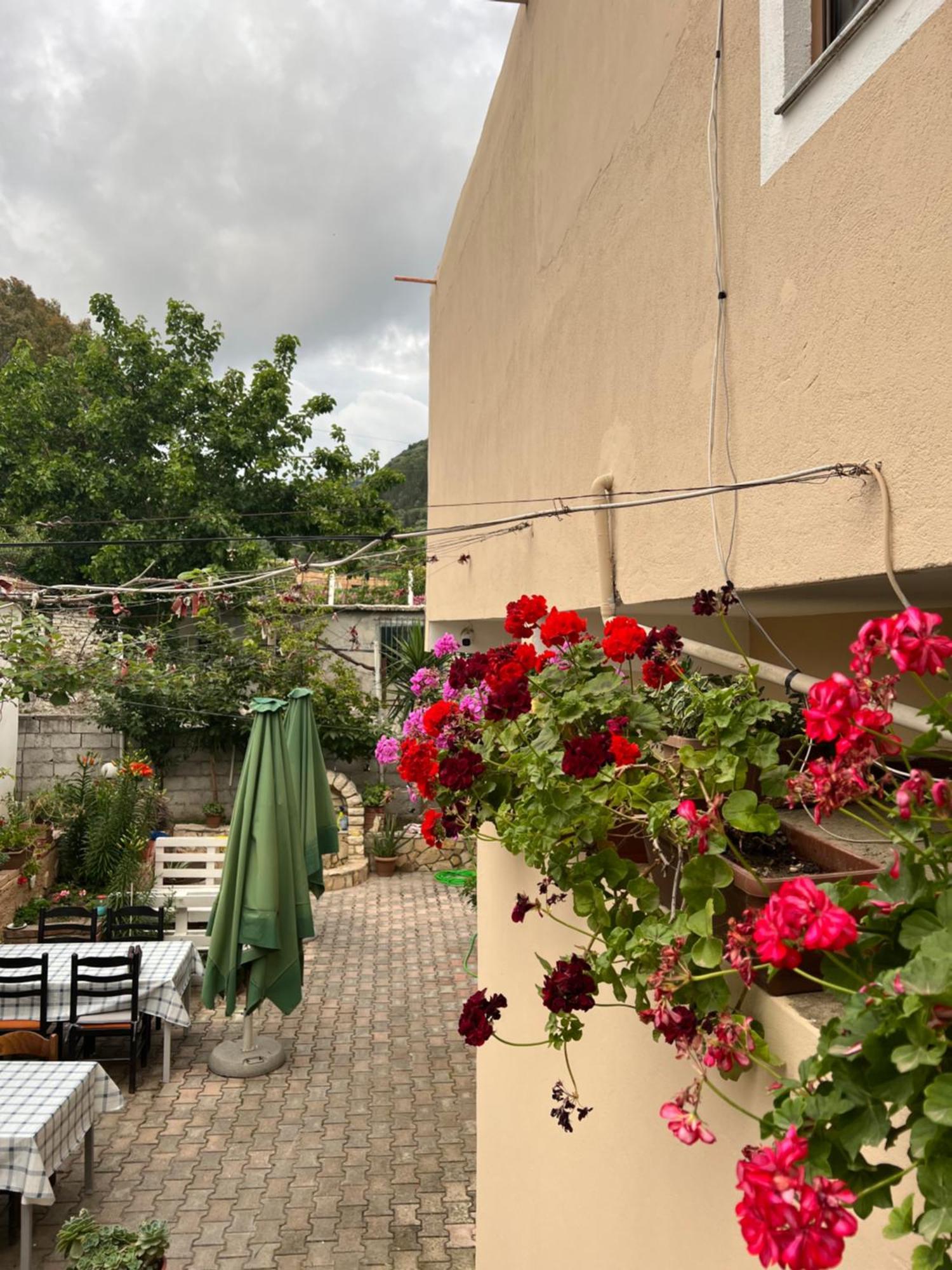 Villa Green Vlorë Exteriör bild