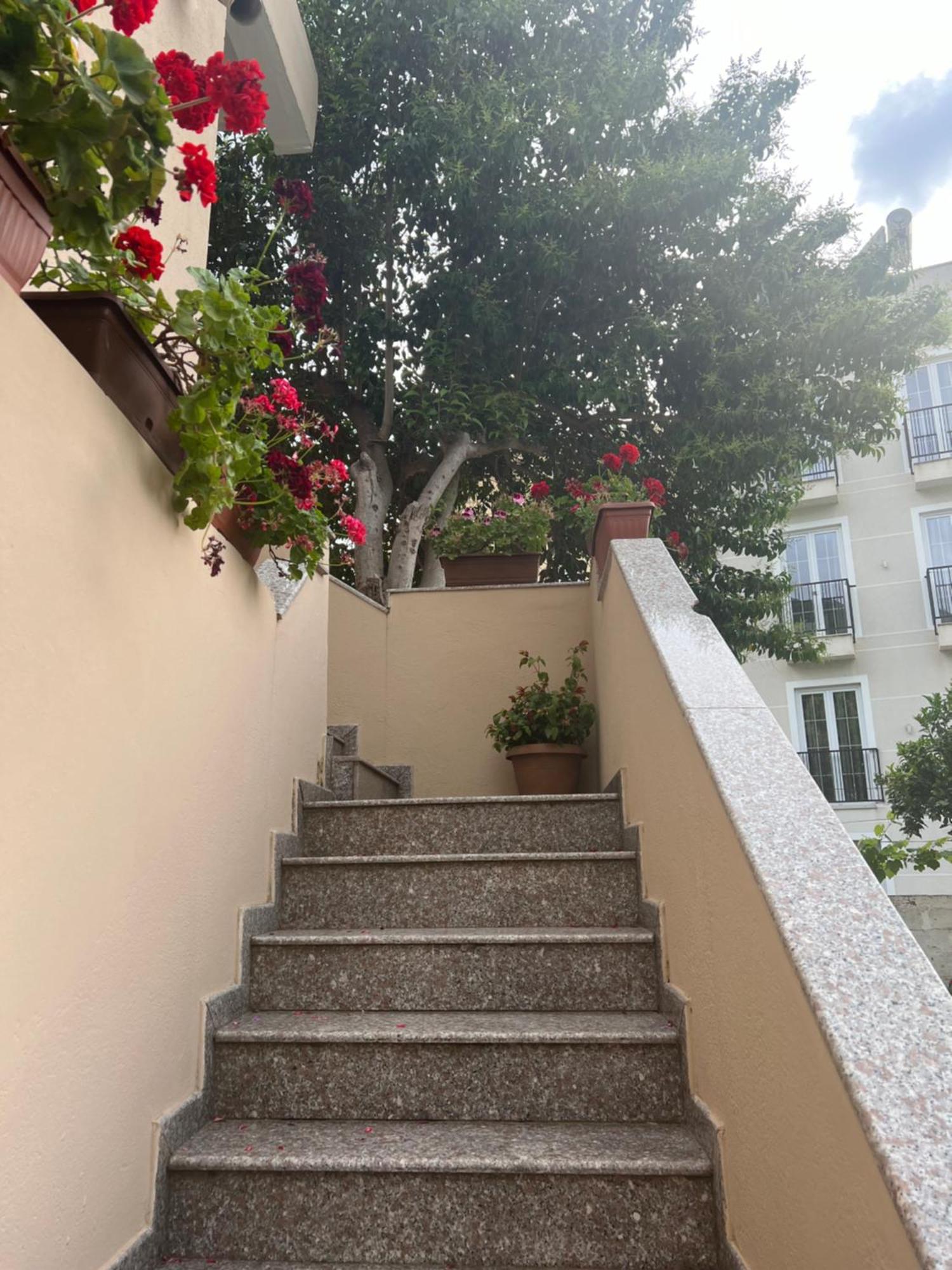 Villa Green Vlorë Exteriör bild